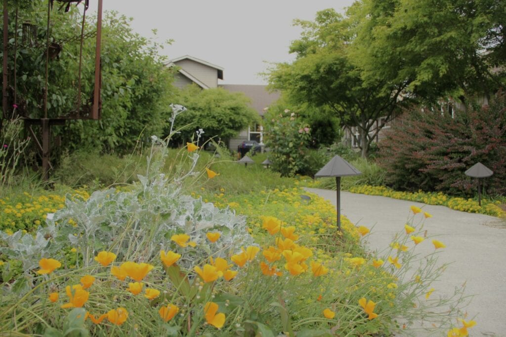 Garden-Village-At-The-Harbor